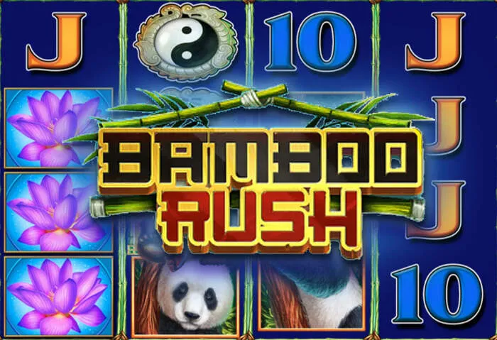 Discover new and thrilling Rainbet online slot games with bonus features and free spins.