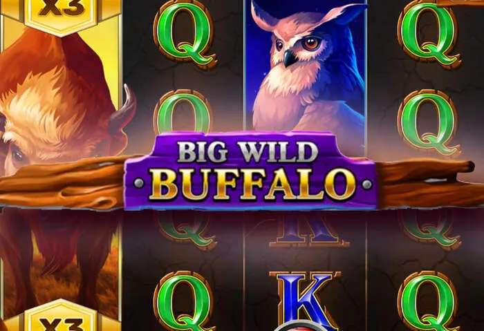 Multiple Rainbet Casino Deposit Options available now.